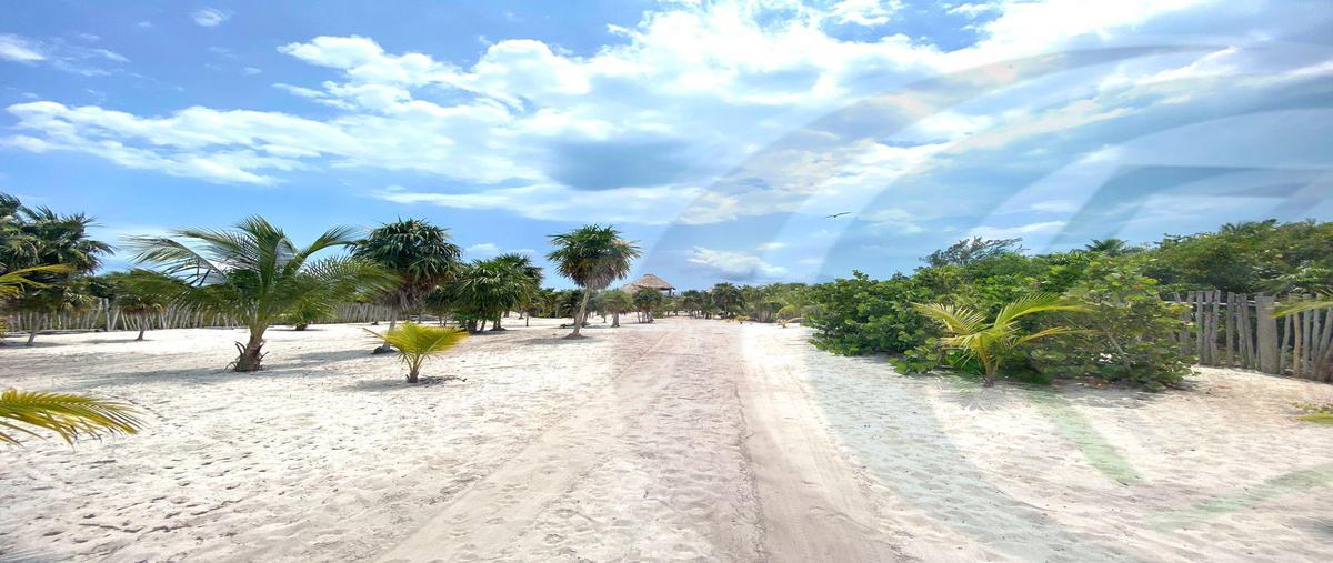 Foto de terreno habitacional en , quintana roo, quintana roo, yucatán, 31338135 foto 02 Foto de terreno habitacional en venta en , quintana roo, quintana roo, yucatán, 31338135 No. 02