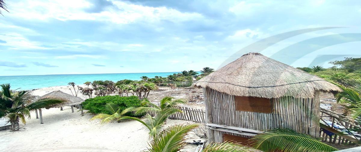 Foto de terreno habitacional en , quintana roo, quintana roo, yucatán, 31338135 foto 03 Foto de terreno habitacional en venta en , quintana roo, quintana roo, yucatán, 31338135 No. 03
