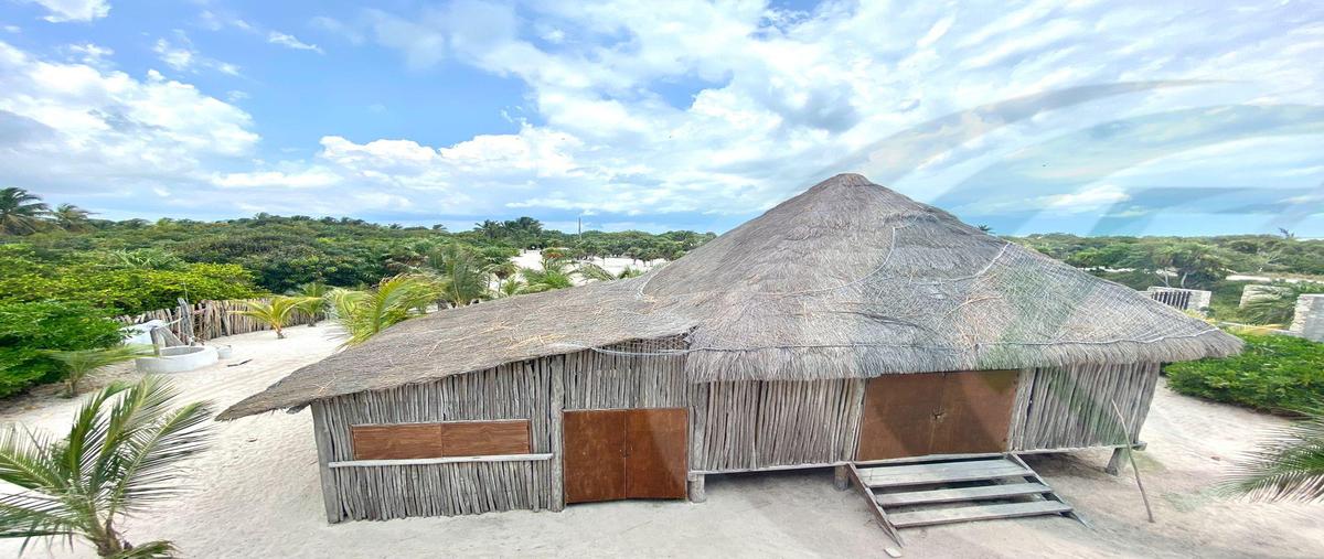 Foto de terreno habitacional en , quintana roo, quintana roo, yucatán, 31338135 foto 05 Foto de terreno habitacional en venta en , quintana roo, quintana roo, yucatán, 31338135 No. 05