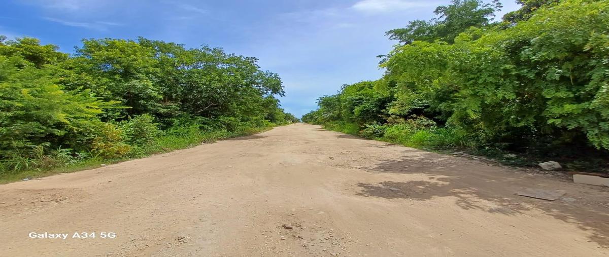 Foto de terreno habitacional en , quintana roo, quintana roo, yucatán, 31338139 foto 05 Foto de terreno habitacional en venta en , quintana roo, quintana roo, yucatán, 31338139 No. 05
