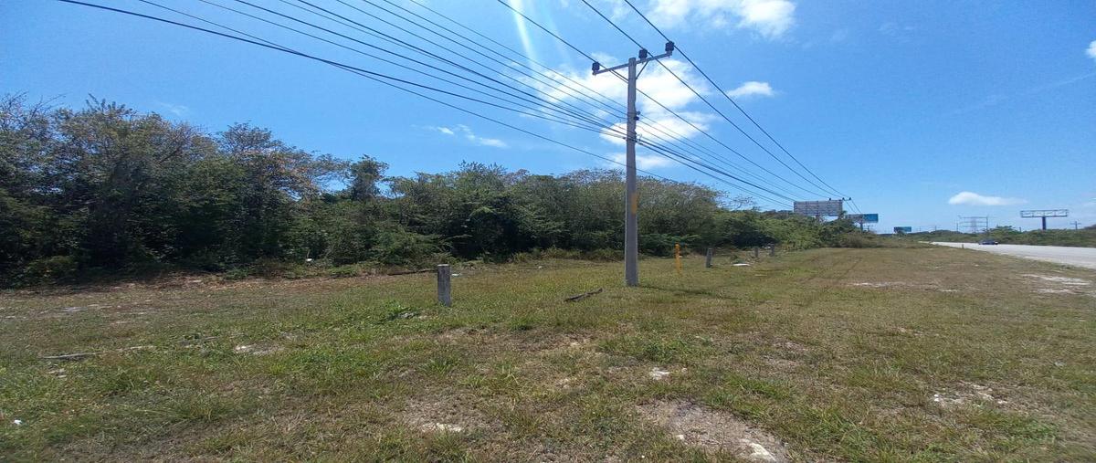 Foto de terreno habitacional en , quintana roo, quintana roo, yucatán, 31338140 foto 02 Foto de terreno habitacional en venta en , quintana roo, quintana roo, yucatán, 31338140 No. 02