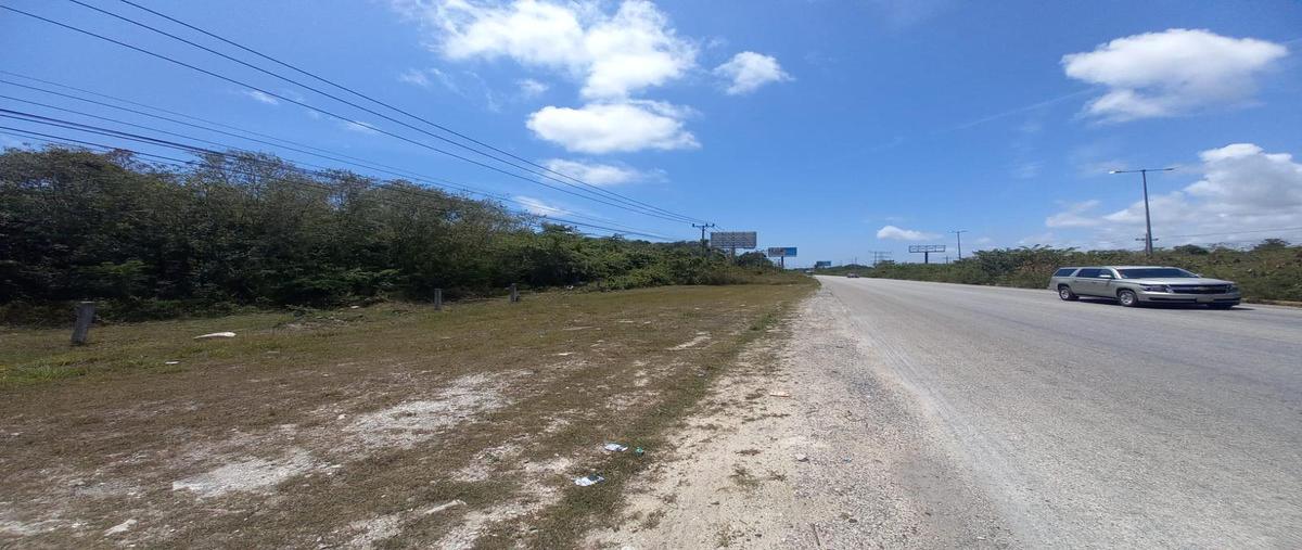 Foto de terreno habitacional en , quintana roo, quintana roo, yucatán, 31338140 foto 04 Foto de terreno habitacional en venta en , quintana roo, quintana roo, yucatán, 31338140 No. 04