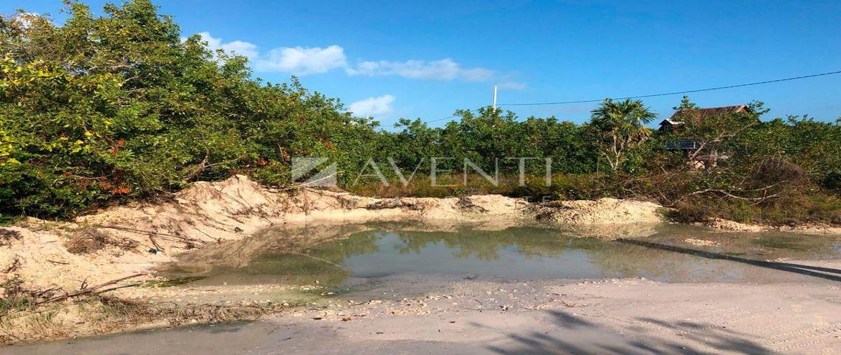 Foto de terreno habitacional en venta en  , quintana roo, quintana roo, yucatán, 31559400 No. 03