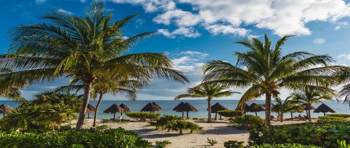 Foto de departamento en venta en  , quintana roo, quintana roo, yucatán, 0 No. 04