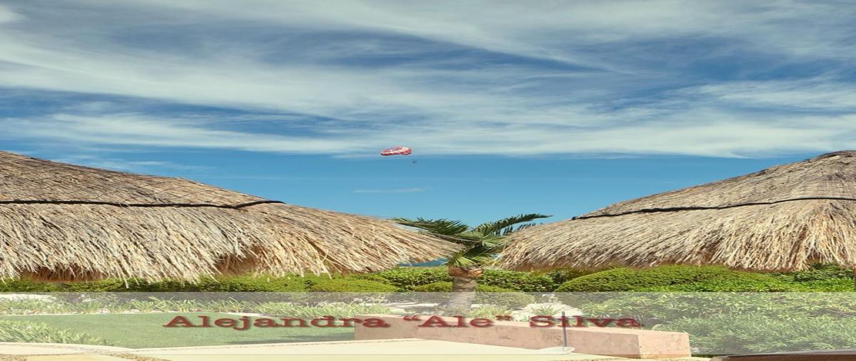 Foto de terreno habitacional en venta en  , quintana roo, quintana roo, yucatán, 0 No. 04