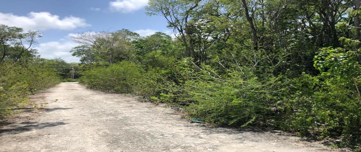 Foto de terreno habitacional en venta en quintana roo , tulum centro, tulum, quintana roo, 9455807 No. 04