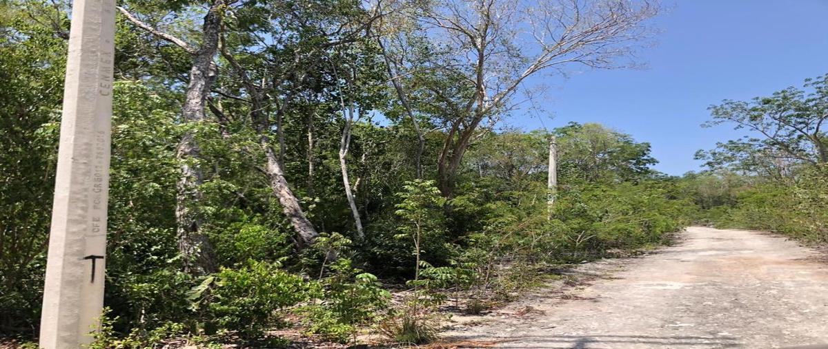 Foto de terreno habitacional en venta en quintana roo , tulum centro, tulum, quintana roo, 9455807 No. 05