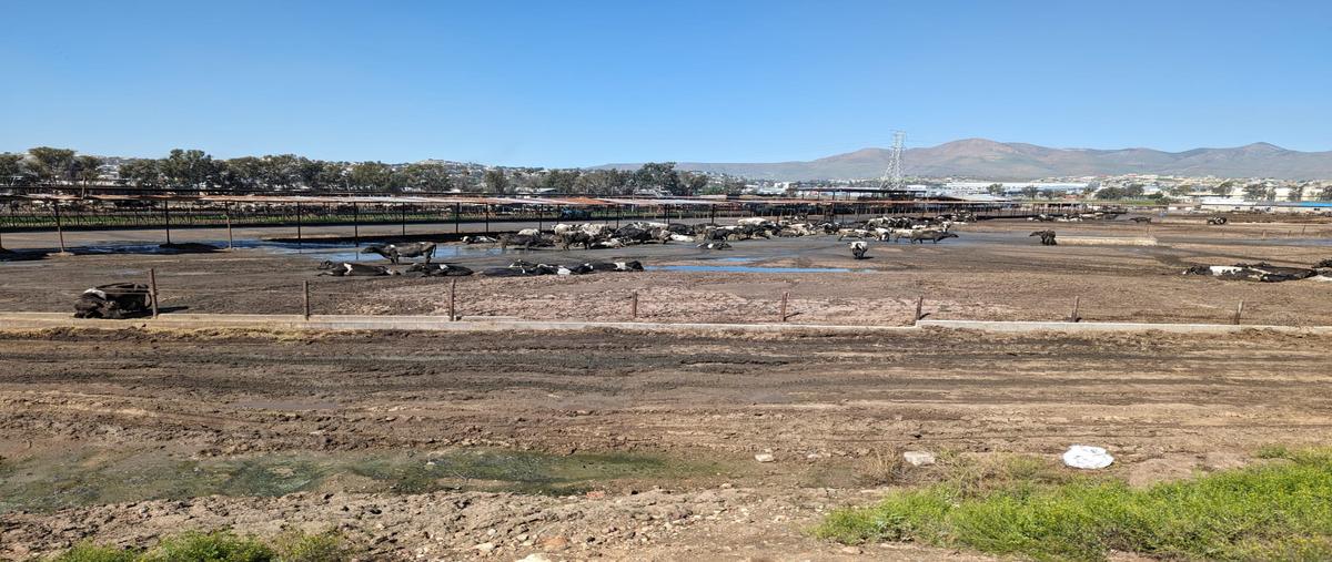 Foto de terreno comercial en quintas campestres el florido , el laurel i, tijuana, baja california, 27822178 foto 02 Foto de terreno comercial en venta en quintas campestres el florido , el laurel i, tijuana, baja california, 27822178 No. 02