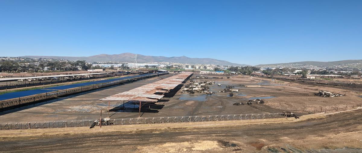 Foto de terreno comercial en quintas campestres el florido , el laurel i, tijuana, baja california, 27822178 foto 03 Foto de terreno comercial en venta en quintas campestres el florido , el laurel i, tijuana, baja california, 27822178 No. 03