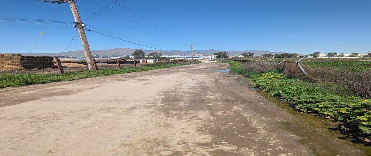 Foto de terreno comercial en quintas campestres el florido , el laurel i, tijuana, baja california, 27822178 foto 04 Foto de terreno comercial en venta en quintas campestres el florido , el laurel i, tijuana, baja california, 27822178 No. 04