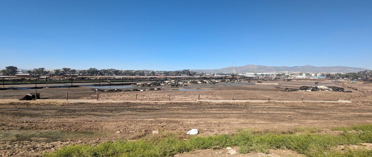 Foto de terreno comercial en quintas campestres el florido , el laurel i, tijuana, baja california, 27822178 foto 05 Foto de terreno comercial en venta en quintas campestres el florido , el laurel i, tijuana, baja california, 27822178 No. 05