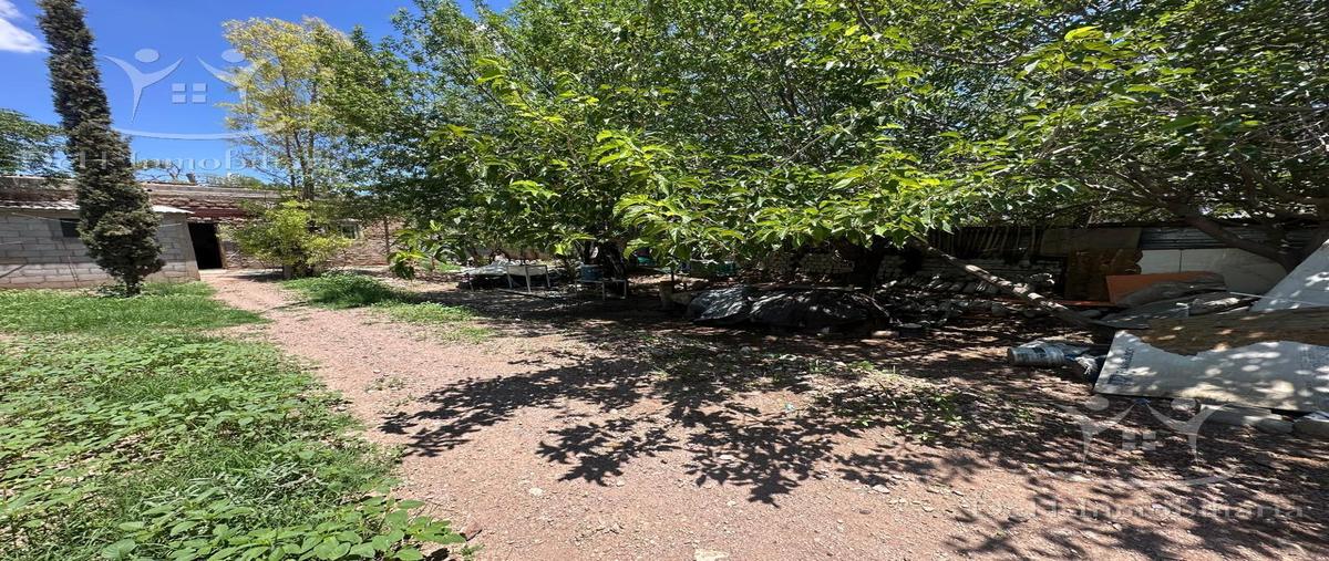 Foto de terreno habitacional en venta en  , quintas carolinas, chihuahua, chihuahua, 30107069 No. 04