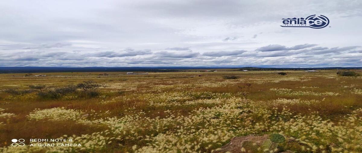 Foto de terreno habitacional en quintas del pino , metates, durango, durango, 0 foto 03 Foto de terreno habitacional en venta en quintas del pino , metates, durango, durango, 0 No. 03