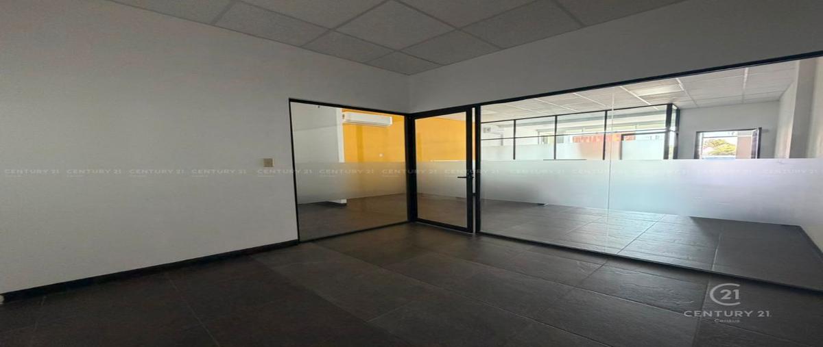Foto de local en renta en  , quintas del sol, chihuahua, chihuahua, 0 No. 05