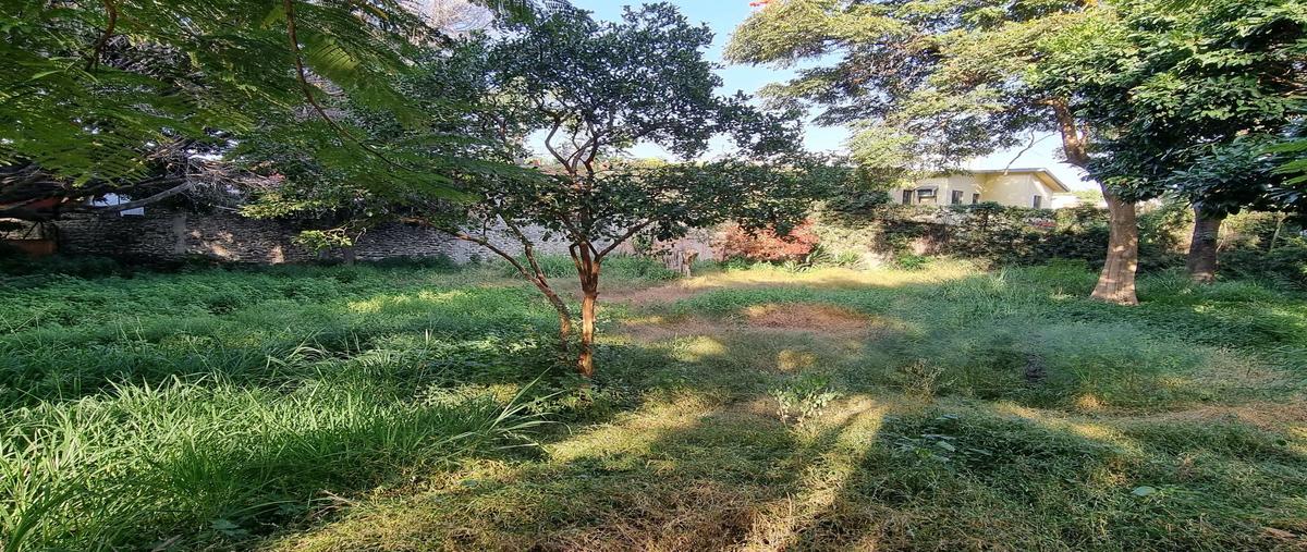 Foto de terreno habitacional en venta en  , quintas martha, cuernavaca, morelos, 28795290 No. 05