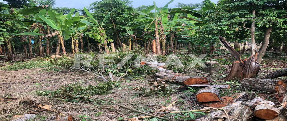 Foto de terreno habitacional en ra la manga 2da seccion , plátano y cacao, centro, tabasco, 29240954 foto 03 Foto de terreno habitacional en venta en ra la manga 2da seccion , plátano y cacao, centro, tabasco, 29240954 No. 03