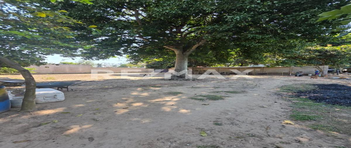 Foto de terreno habitacional en venta en r/a miguel hidalgo carretera a la isla kilometro 2.8 , miguel hidalgo, centro, tabasco, 0 No. 04