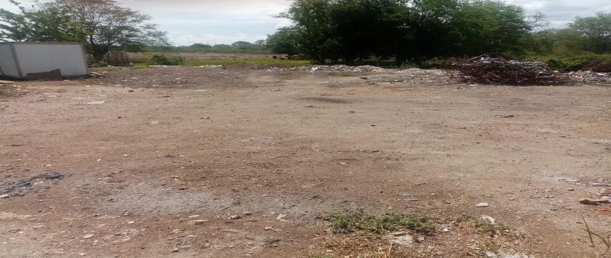 Foto de terreno habitacional en rafael b. pavon , gral. desiderio pavón, pánuco, veracruz de ignacio de la llave, 26881116 foto 02 Foto de terreno habitacional en venta en rafael b. pavon , gral. desiderio pavón, pánuco, veracruz de ignacio de la llave, 26881116 No. 02