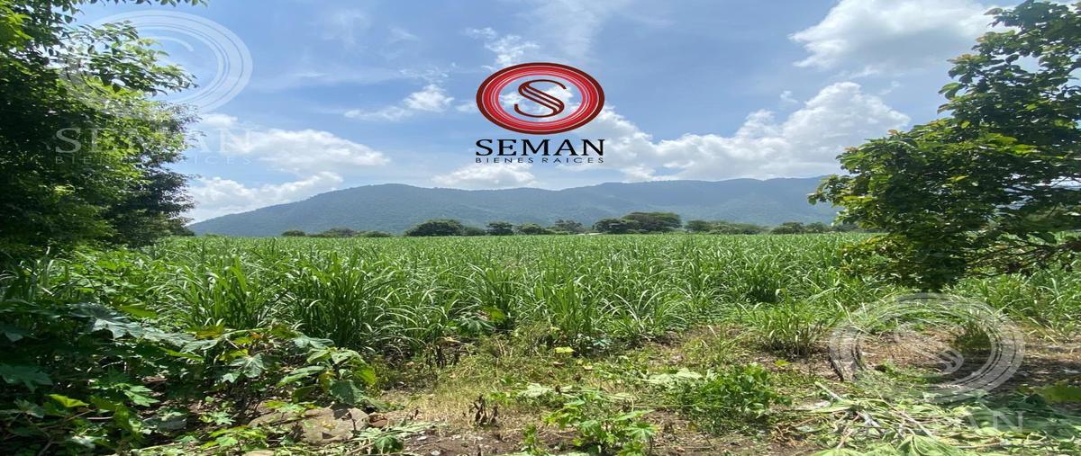 Foto de terreno habitacional en venta en  , rafael delgado, rafael delgado, veracruz de ignacio de la llave, 0 No. 03