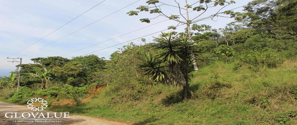Foto de terreno habitacional en venta en  , rafael hernández ochoa, xalapa, veracruz de ignacio de la llave, 0 No. 03