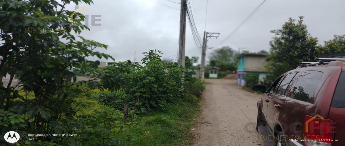 Foto de terreno habitacional en venta en  , rafael lucio, rafael lucio, veracruz de ignacio de la llave, 0 No. 03