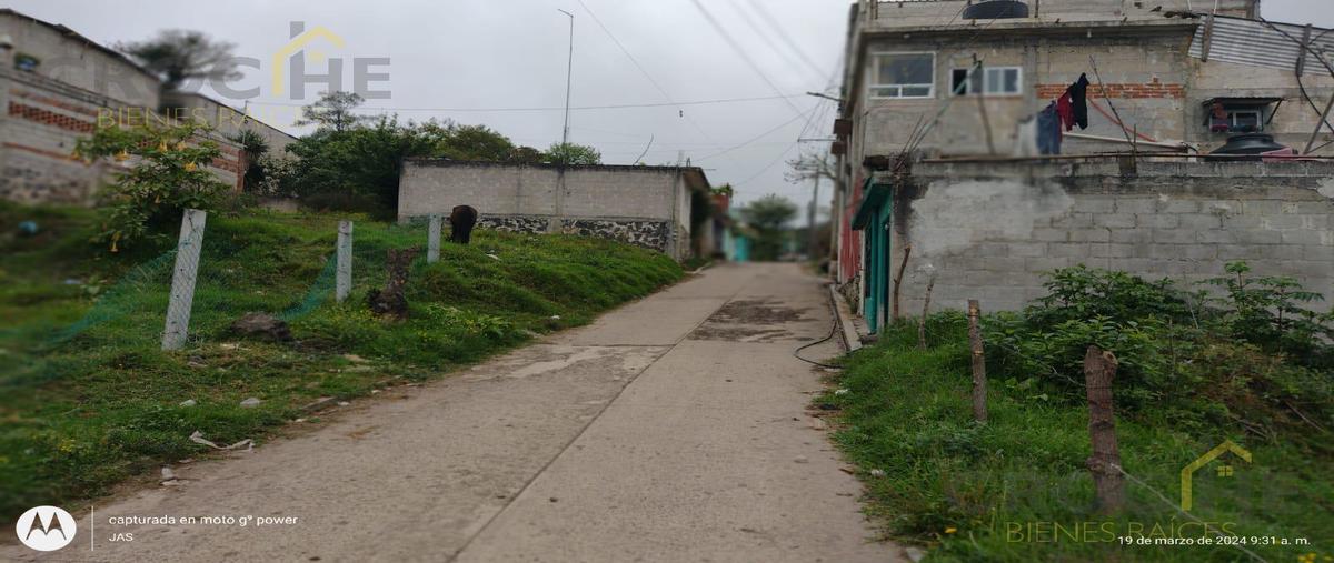 Foto de terreno habitacional en venta en  , rafael lucio, rafael lucio, veracruz de ignacio de la llave, 0 No. 04