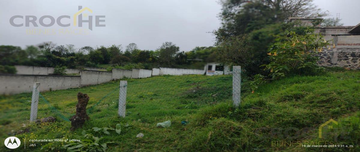 Foto de terreno habitacional en venta en  , rafael lucio, rafael lucio, veracruz de ignacio de la llave, 0 No. 05