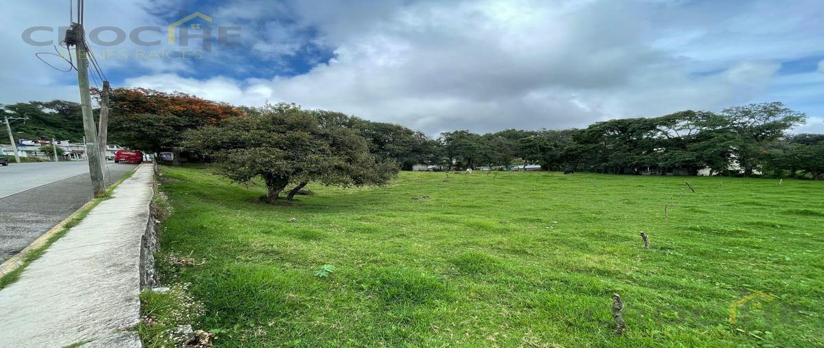 Foto de terreno habitacional en venta en  , rafael lucio, rafael lucio, veracruz de ignacio de la llave, 0 No. 04
