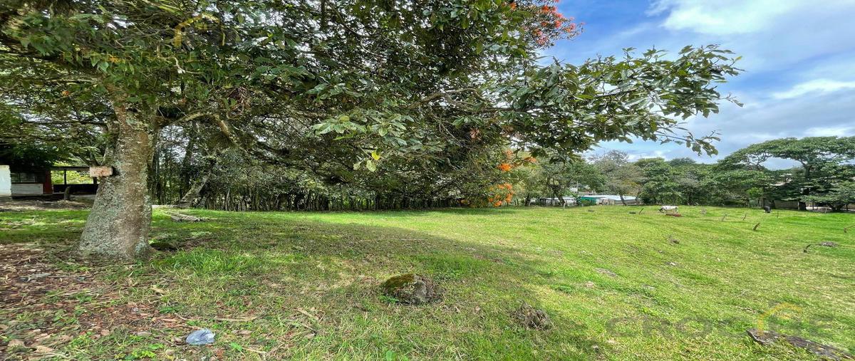 Foto de terreno habitacional en venta en  , rafael lucio, rafael lucio, veracruz de ignacio de la llave, 0 No. 05