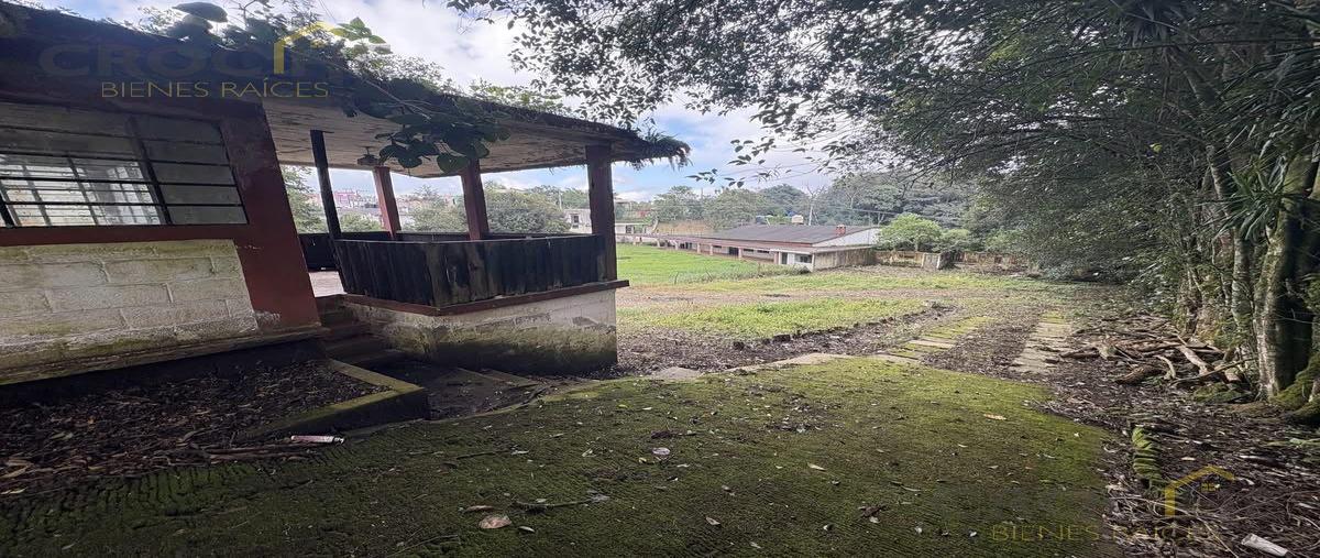 Foto de terreno habitacional en venta en  , rafael lucio, rafael lucio, veracruz de ignacio de la llave, 0 No. 03