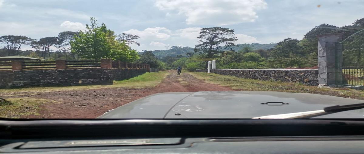 Foto de terreno habitacional en venta en  , rafael lucio, xalapa, veracruz de ignacio de la llave, 22252797 No. 03