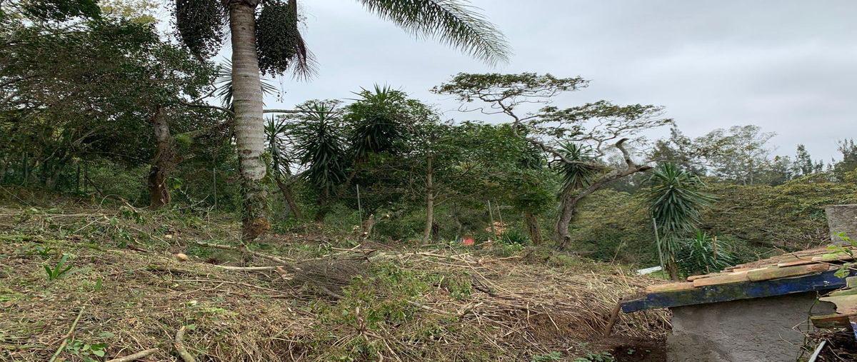 Foto de terreno habitacional en , rafael lucio, xalapa, veracruz de ignacio de la llave, 28330391 foto 01 Foto de terreno habitacional en venta en , rafael lucio, xalapa, veracruz de ignacio de la llave, 28330391 No. 01