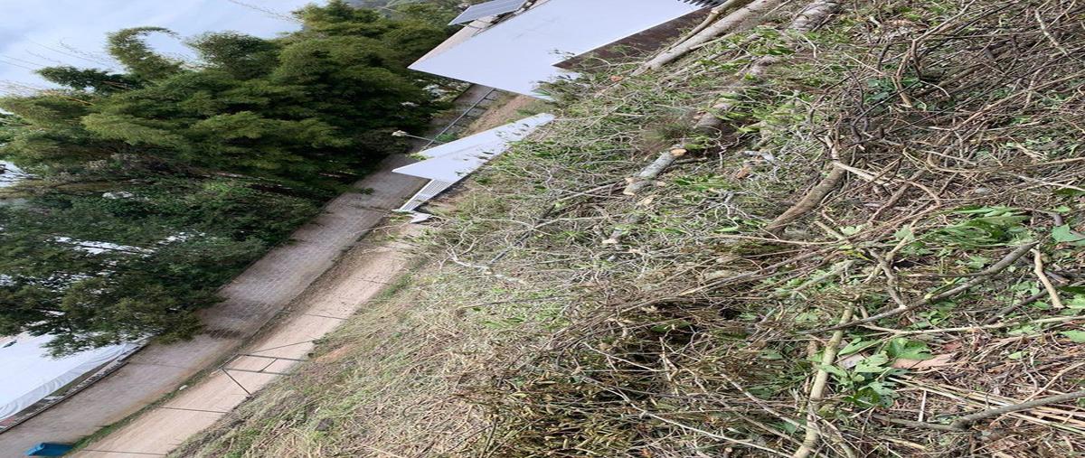 Foto de terreno habitacional en , rafael lucio, xalapa, veracruz de ignacio de la llave, 28330391 foto 02 Foto de terreno habitacional en venta en , rafael lucio, xalapa, veracruz de ignacio de la llave, 28330391 No. 02