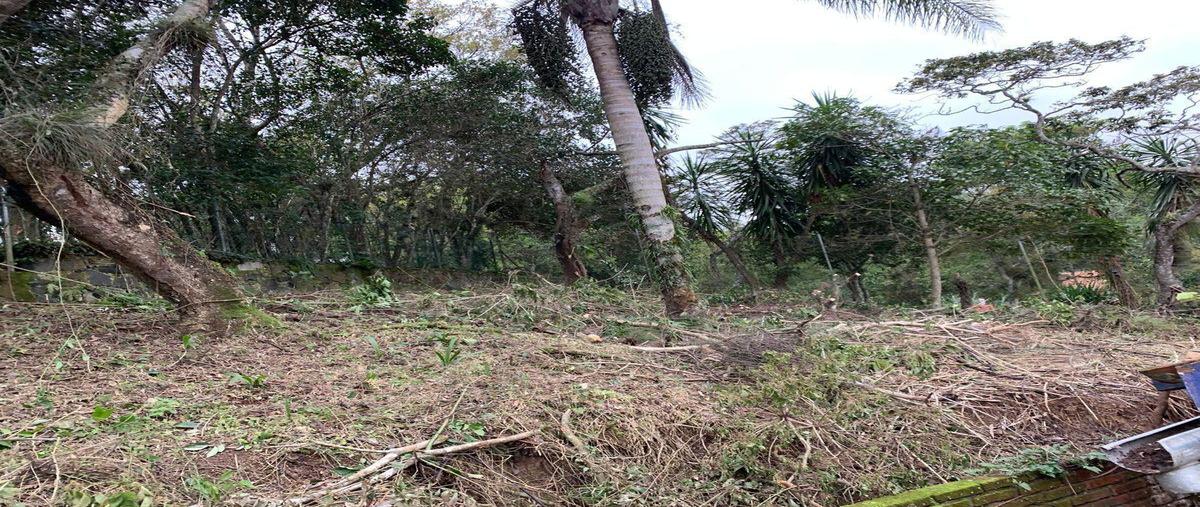 Foto de terreno habitacional en , rafael lucio, xalapa, veracruz de ignacio de la llave, 28330391 foto 05 Foto de terreno habitacional en venta en , rafael lucio, xalapa, veracruz de ignacio de la llave, 28330391 No. 05