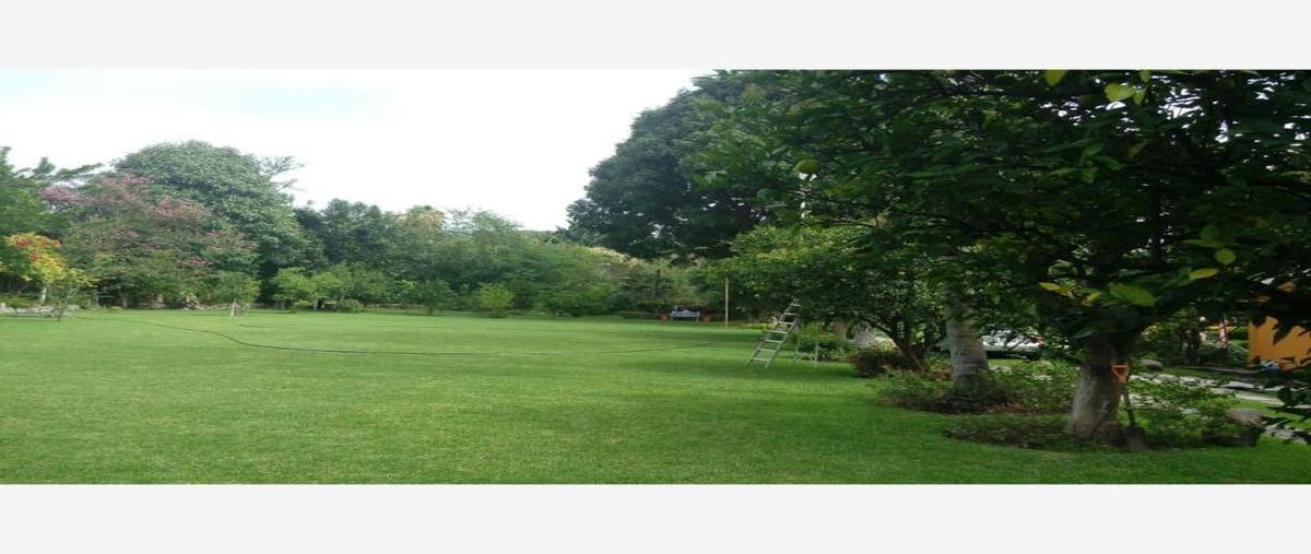 Foto de casa en venta en  , tenextepango, ayala, morelos, 7578039 No. 01