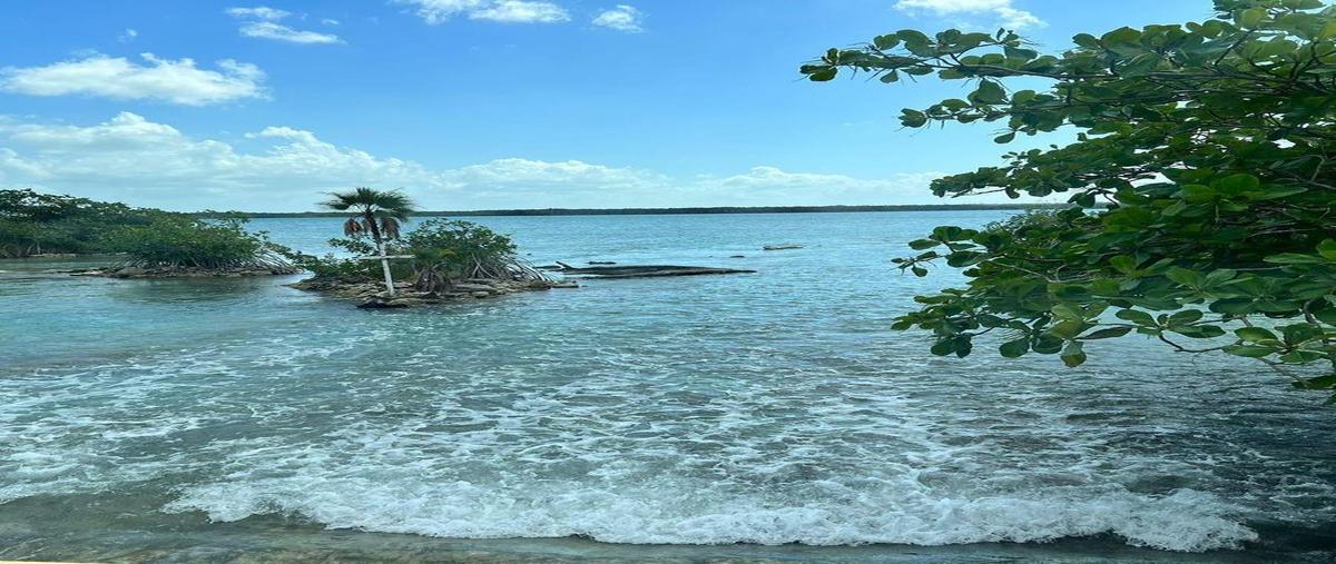 Foto de terreno habitacional en , rafael witzil hau, bacalar, quintana roo, 0 foto 01 Foto de terreno habitacional en venta en , rafael witzil hau, bacalar, quintana roo, 0 No. 01