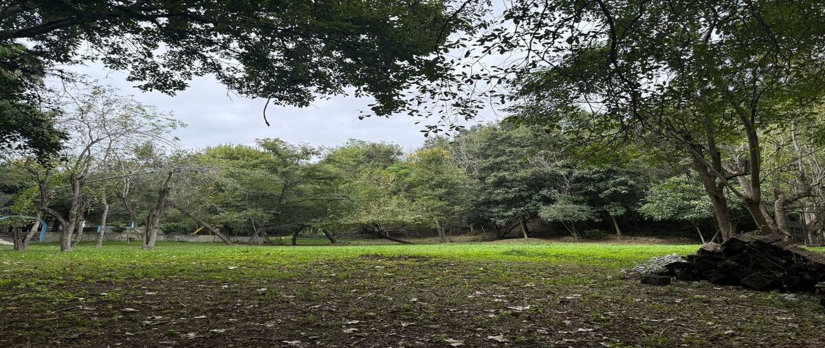 Foto de terreno habitacional en venta en raíces , las raíces, allende, nuevo león, 0 No. 03