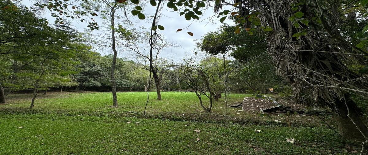 Foto de terreno habitacional en venta en raíces , las raíces, allende, nuevo león, 0 No. 04