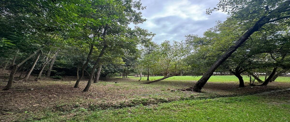 Foto de terreno habitacional en venta en raíces , las raíces, allende, nuevo león, 0 No. 05