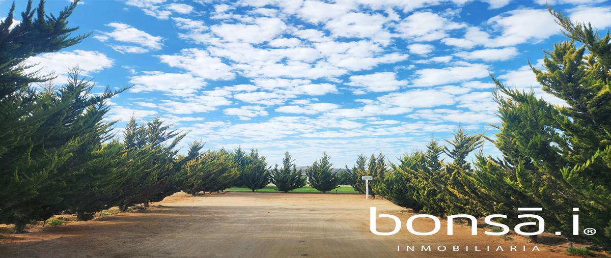Foto de rancho en venta en ramal a. francisco zarcoquinta divina , francisco zarco (valle de guadalupe), ensenada, baja california, 0 No. 01