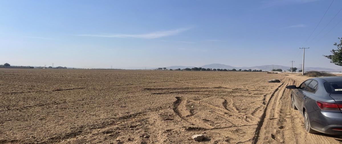 Foto de terreno habitacional en venta en ramon corona , ramón corona, guadalajara, jalisco, 29787318 No. 03