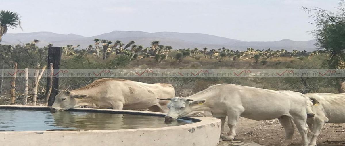 Foto de rancho en , ramos arizpe centro, ramos arizpe, coahuila de zaragoza, 26962514 foto 02 Foto de rancho en venta en , ramos arizpe centro, ramos arizpe, coahuila de zaragoza, 26962514 No. 02