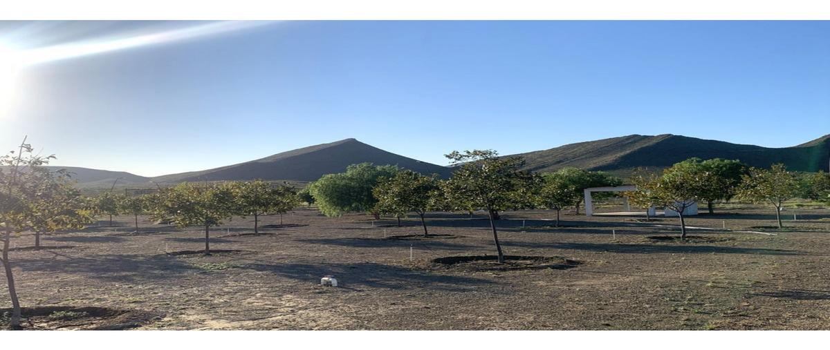 Foto de rancho en venta en  , ramos arizpe centro, ramos arizpe, coahuila de zaragoza, 0 No. 03