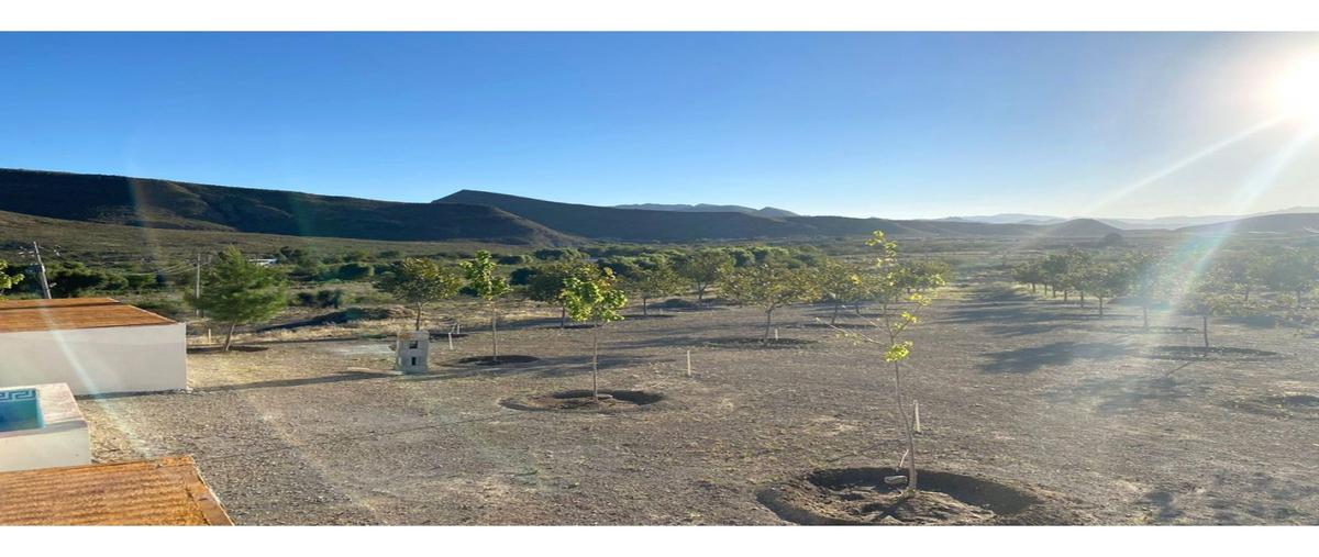 Foto de rancho en venta en  , ramos arizpe centro, ramos arizpe, coahuila de zaragoza, 0 No. 04