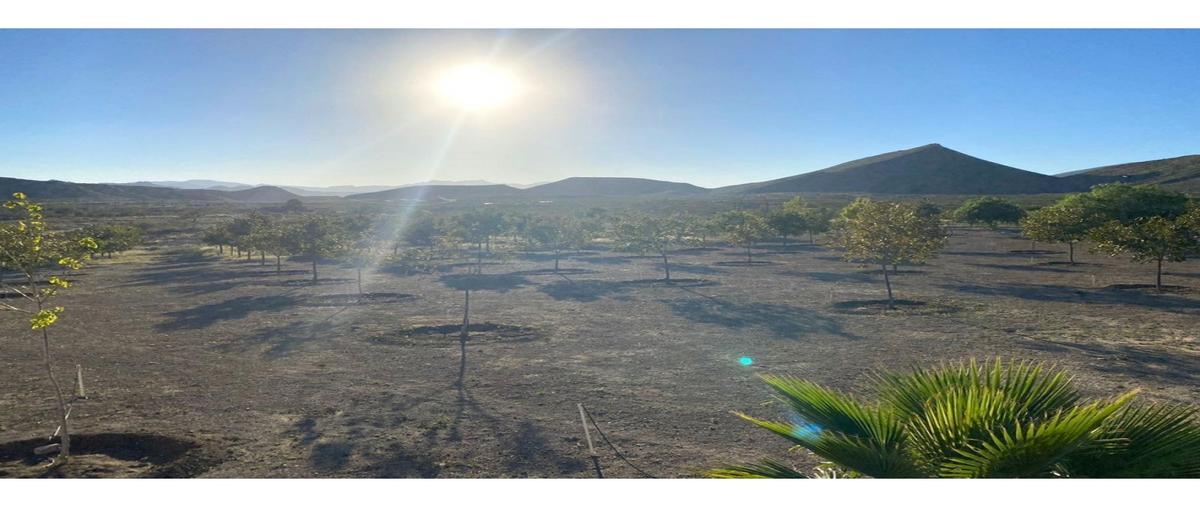 Foto de rancho en venta en  , ramos arizpe centro, ramos arizpe, coahuila de zaragoza, 0 No. 05