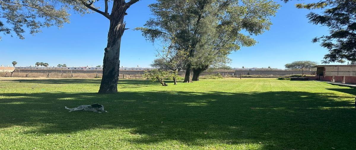 Foto de terreno habitacional en venta en ramos millan , ex-haciendas del cuatro, san pedro tlaquepaque, jalisco, 27558379 No. 03