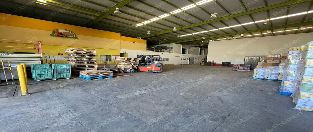 Foto de bodega en renta en rampa eva zamano , río tijuana 3a etapa, tijuana, baja california, 28393538 No. 05