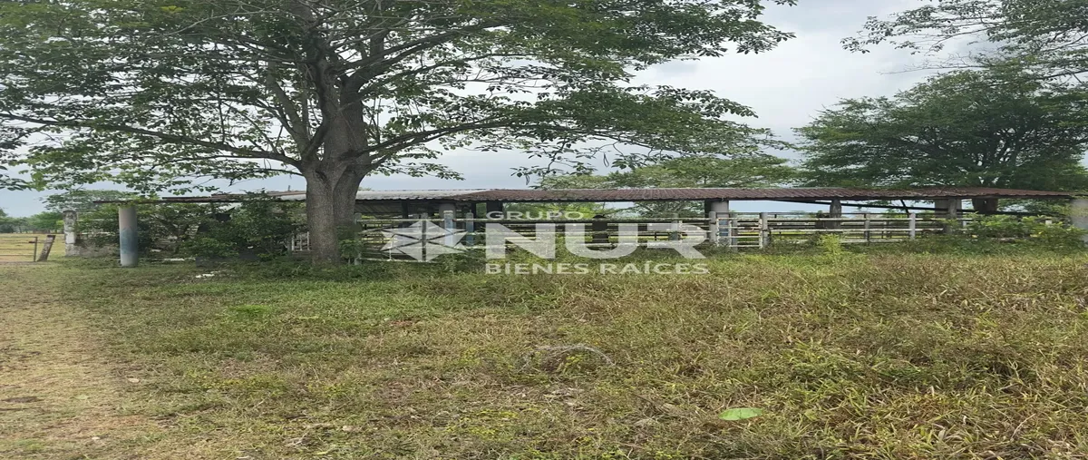 Foto de rancho en venta en rancheria boqueron 5ta. playas del rosario 123, playas del rosario (subteniente garcía), centro, tabasco, 30159246 No. 05