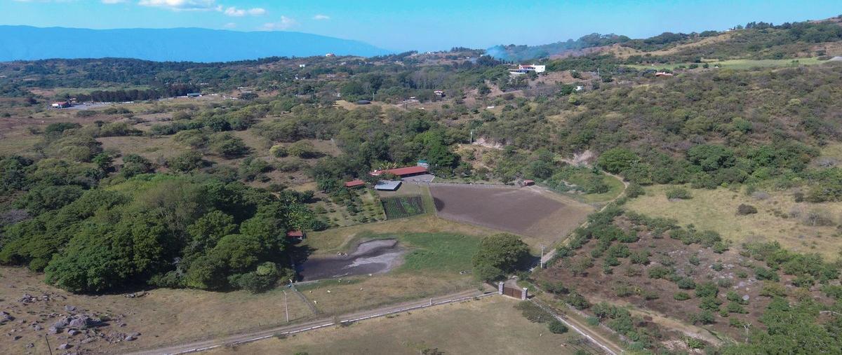 Foto de rancho en venta en ranchería cofradía de suchitlán , cofradía de suchitlán, comala, colima, 0 No. 02