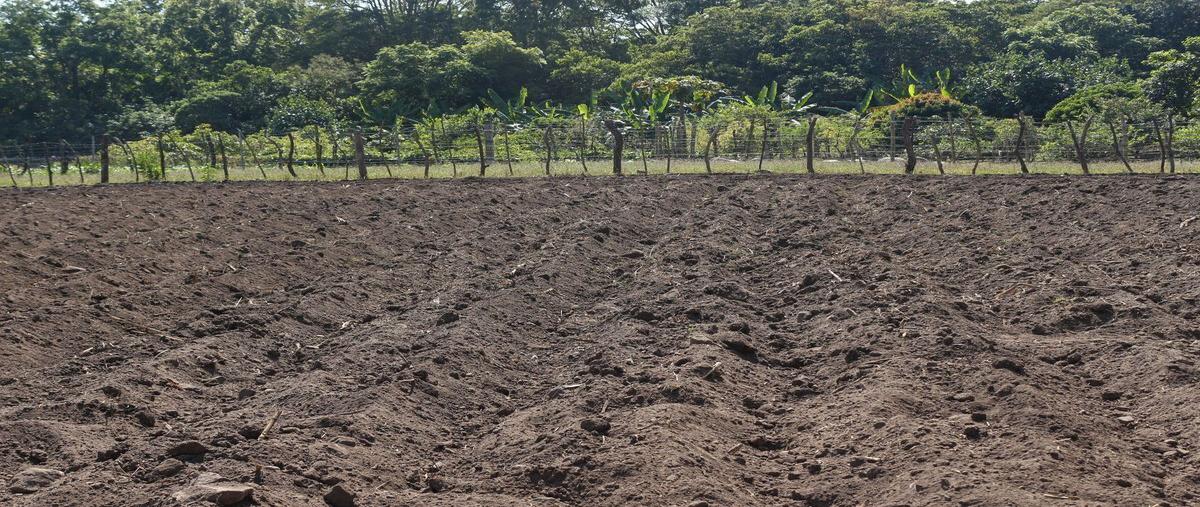 Foto de rancho en venta en ranchería cofradía de suchitlán , cofradía de suchitlán, comala, colima, 0 No. 04